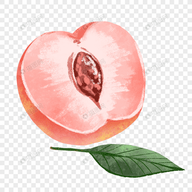 丝瓜视频appAPP应用