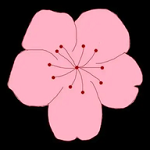WWW,195av·COM网站APP