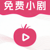 菲斯影视解锁VIP会员版